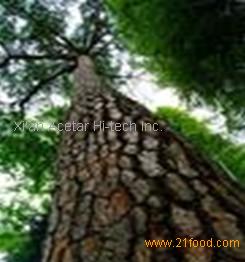 Pine Bark Extract