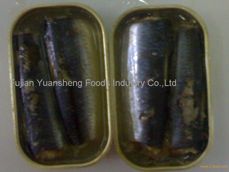 Canned Mackerel in Can