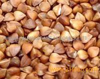 roasted buckwheat kernel