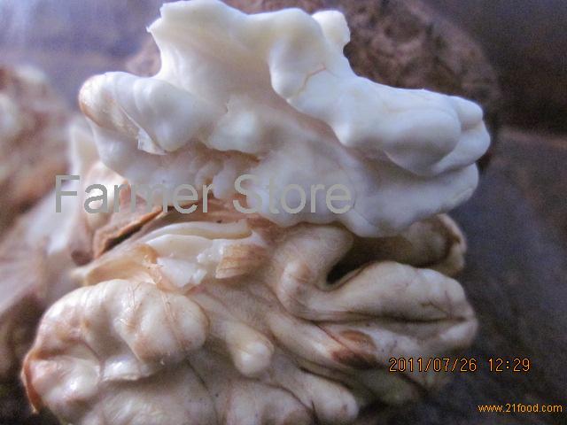 Chinese Walnut with Best Quality