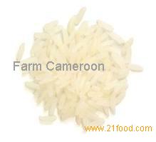 Rice and grains