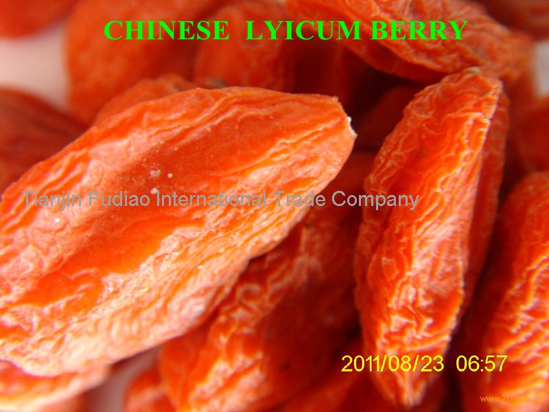 Best price export Ningxia Goji Berry,