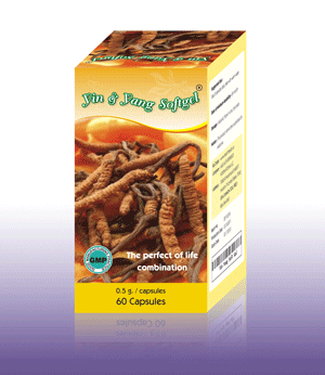 Cordyceps (Yin Yang Soft Gel)