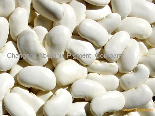 White Kidney Bean Extract