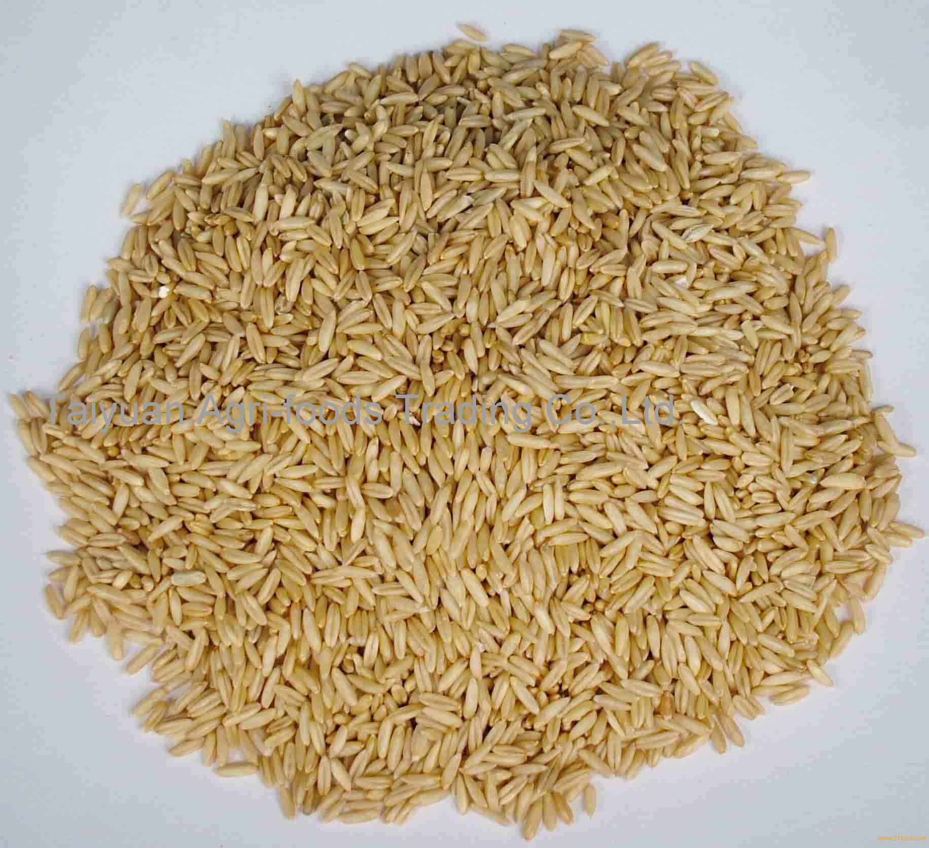 HULLED OAT,China price supplier - 21food