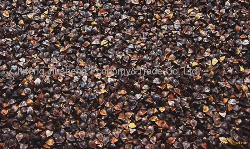 Raw buckwheat with husk,Low Price