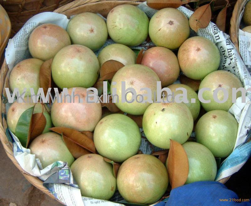 Fresh Cainito fruit,Vietnam price supplier - 21food