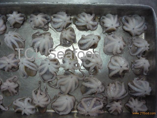 Замороженный детеныш осьминога