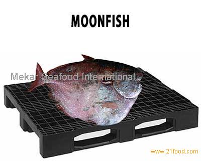 Moonfish внешний аккумулятор