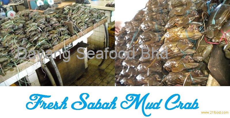 Malaysia Freshwater Mud Crab (Sabah) 