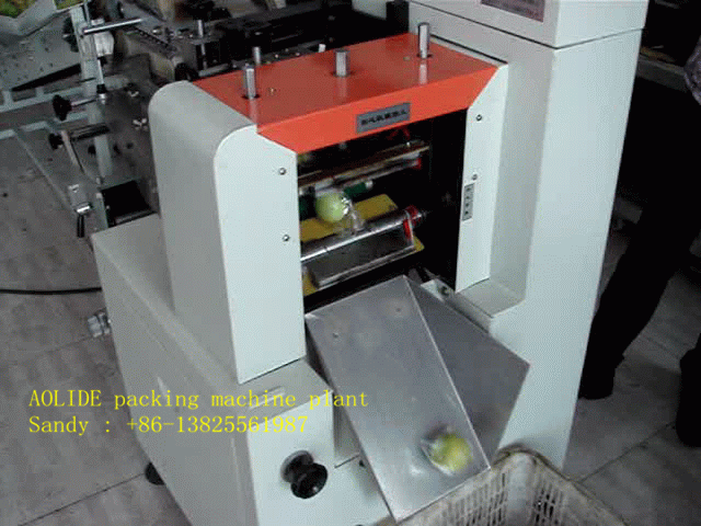 fruit packing machine-automatic fruit packing machine