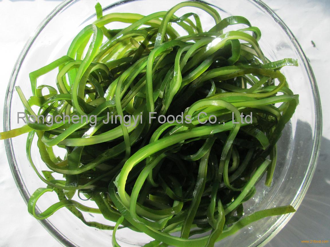 Machine Dried Cut Kelp From China Selling Leads