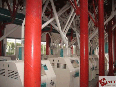  maize   grinding   machine 