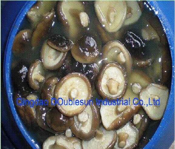 Shiitake