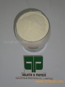 Collagen protein powder