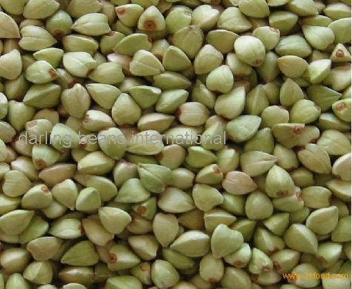 buckwheat kernel