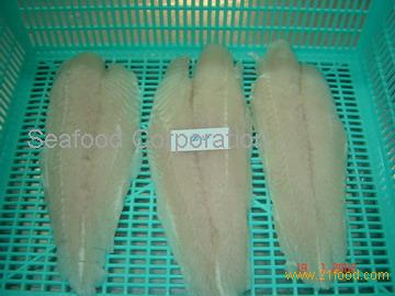 FROZEN PANGASIU FILLET FOR CHINESE MARKET WITH CHEAP PRICE ONLY