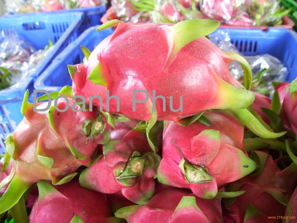 Dragon Fruit - Vietnam products,Vietnam Dragon Fruit - Vietnam supplier