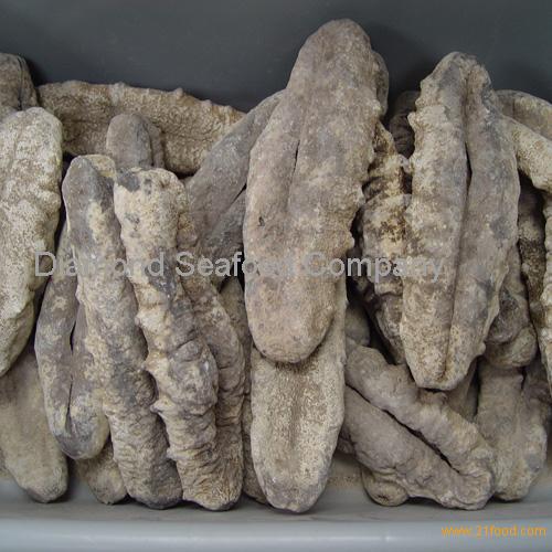 White And Black Teat Sea Cucumber Products United States White And Black Teat Sea Cucumber Supplier