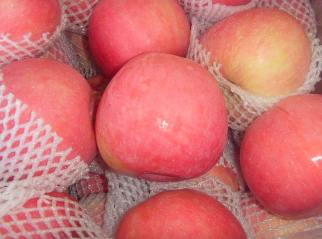 crispy red fuji apple