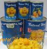 Canned Loquats in syrups