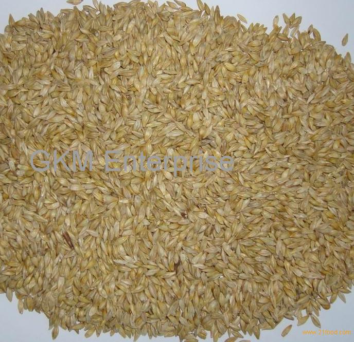 Feed Barley