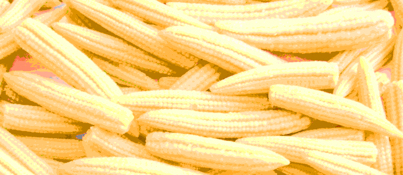 baby corn