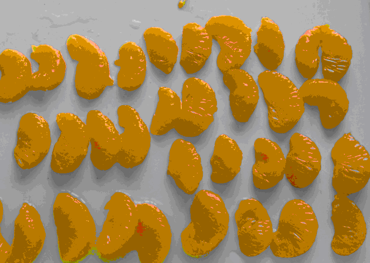 canned whole mandarin