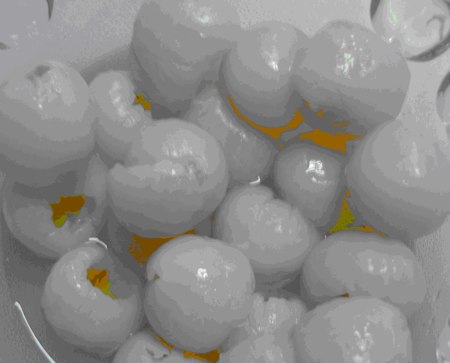 canned Lychee