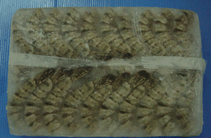 sell  Black   tiger   shrimp ,Vanamei  shrimp  vietnam ,thailand