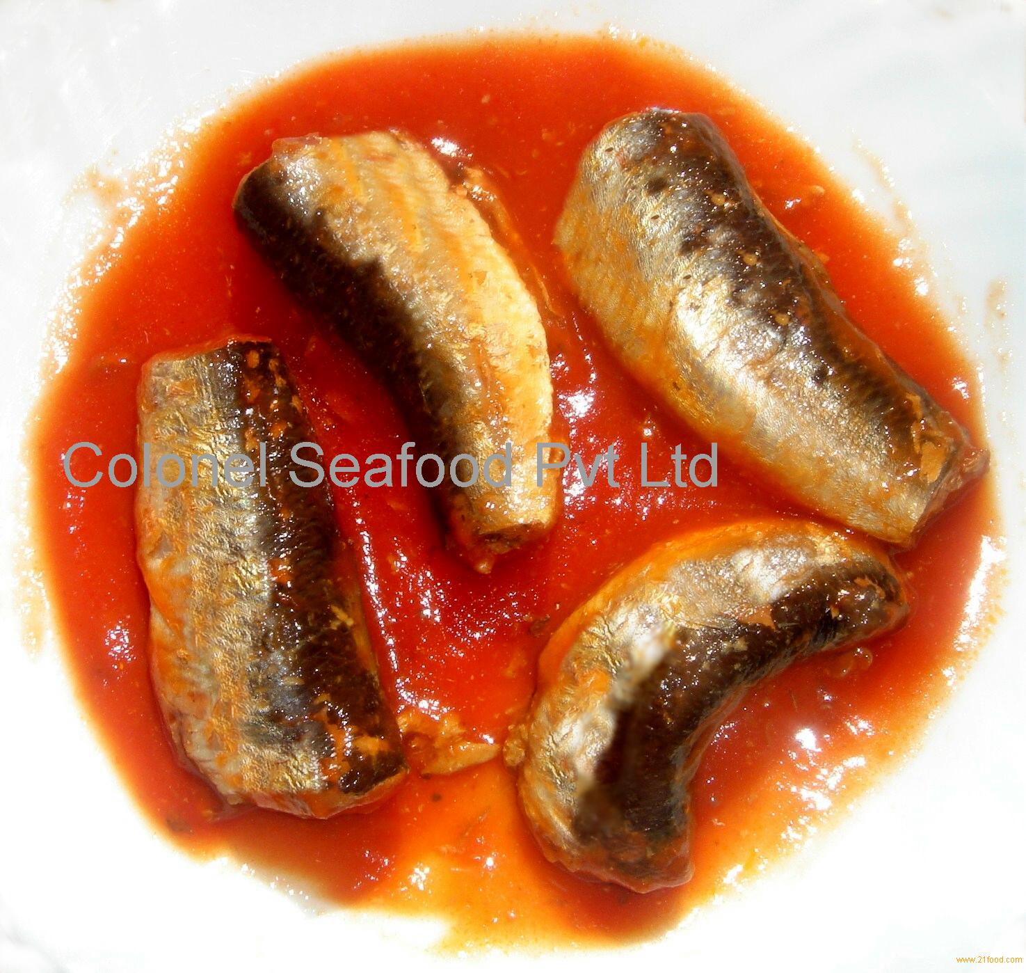 sardine in tomato sauce,Pakistan colonel fish price supplier - 21food