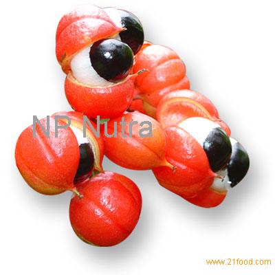 Guarana Powder, Extract, Concentrate, Plant Extract, Capsules, Tablets ...