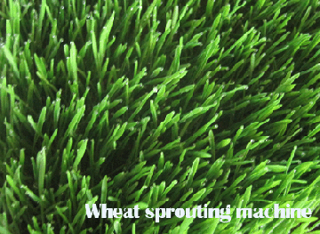 Full Autmatic Animal  Feed   Making   Machine 