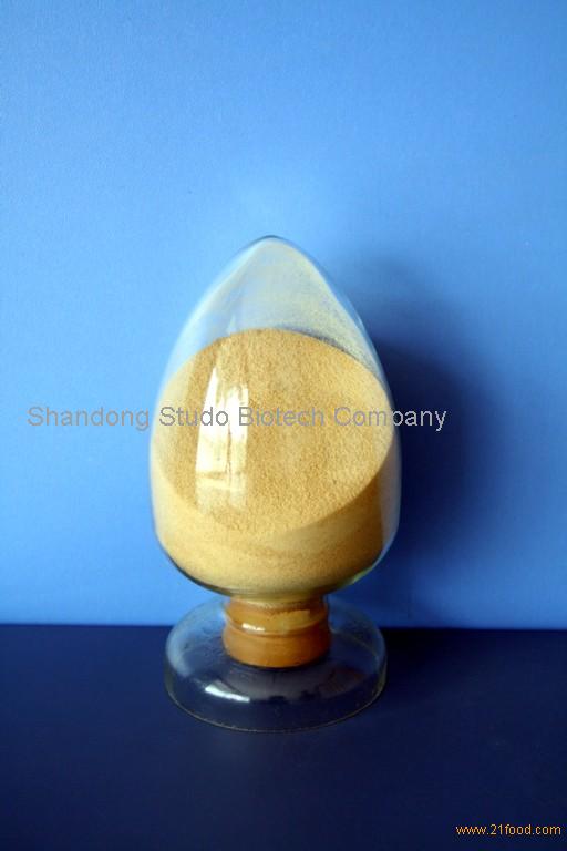 Malt Extract from factory