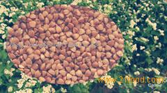 2012 Roasted Buckwheat Kernel