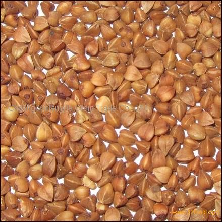 new buckwheat kernnel in China