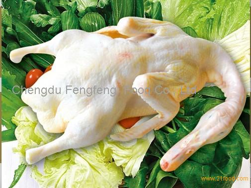 frozen duck