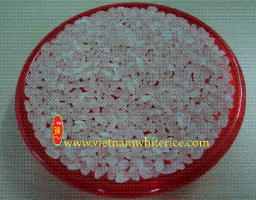 Vietnam Round rice - High quality