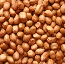  HIGH   OLEIC  RAW 50/60 PEANUTS