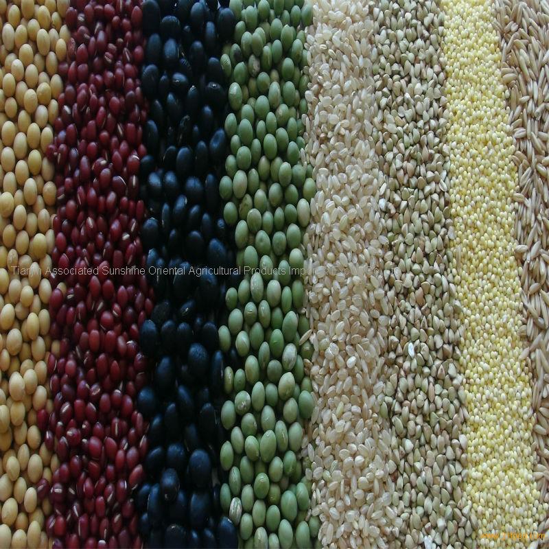 Organic Agricultural Grain