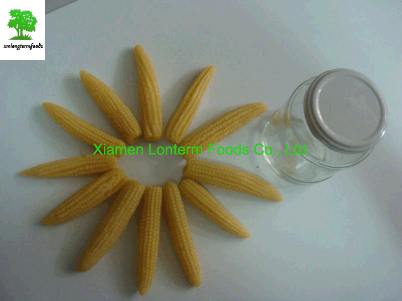 Canned baby corn in jars/tins