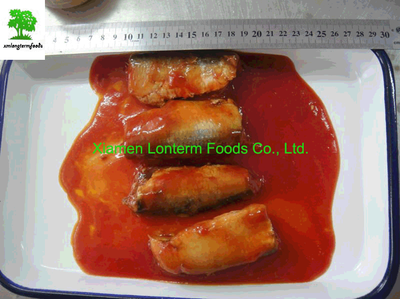 Canned sardine in brine, tomato sauce, oil