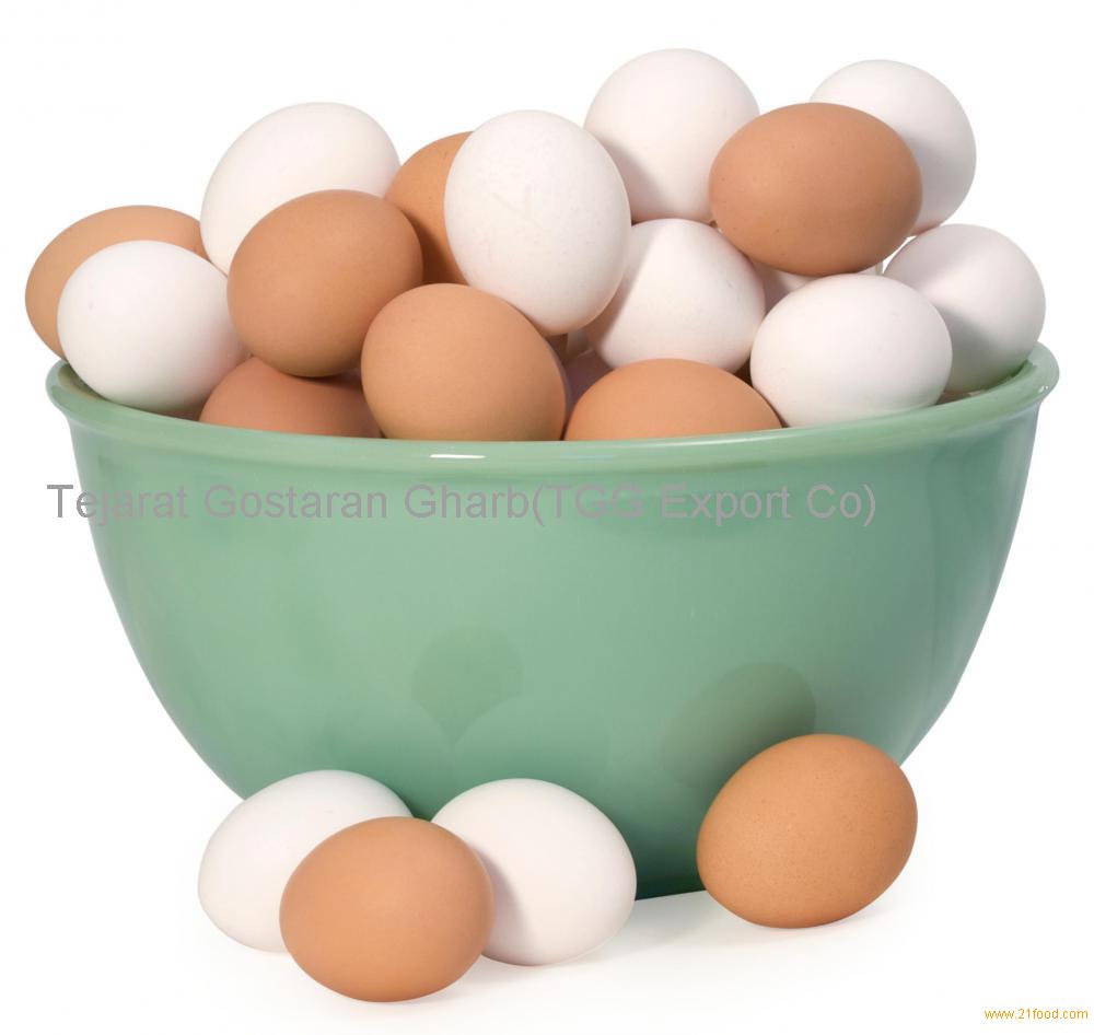 fresh chicken egg white and brown size : 40g-50g-60g-65g-70g