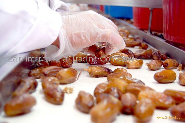 High quality Fresh Dates "Deglet Noor"