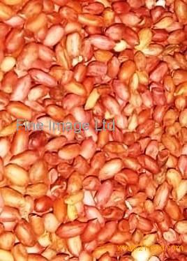 peanuts kernels