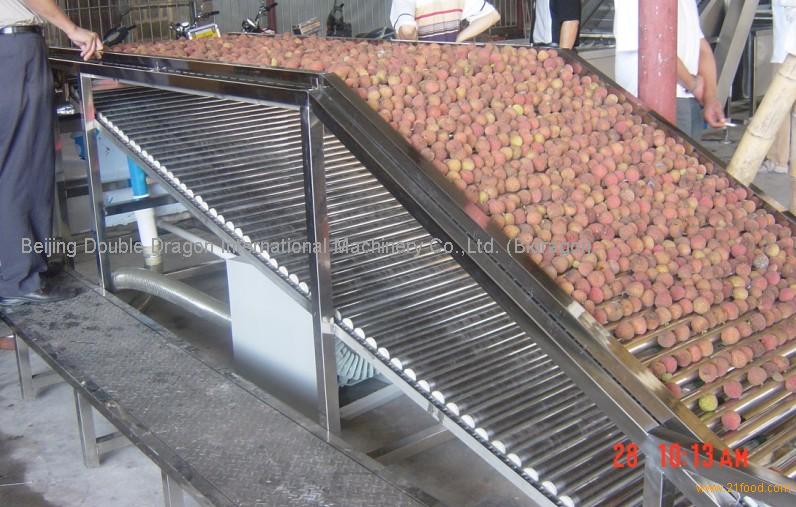 complete plant of lychee and longans processing