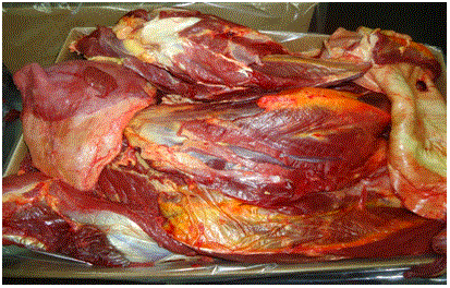 Horse meat forequarter