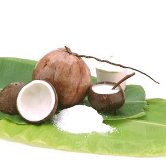 Desiccated Coconut