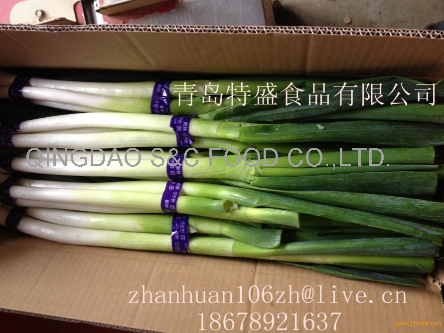 scallion,China price supplier - 21food