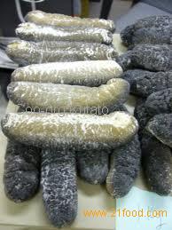 Dry and Fresh Sea Cucumber